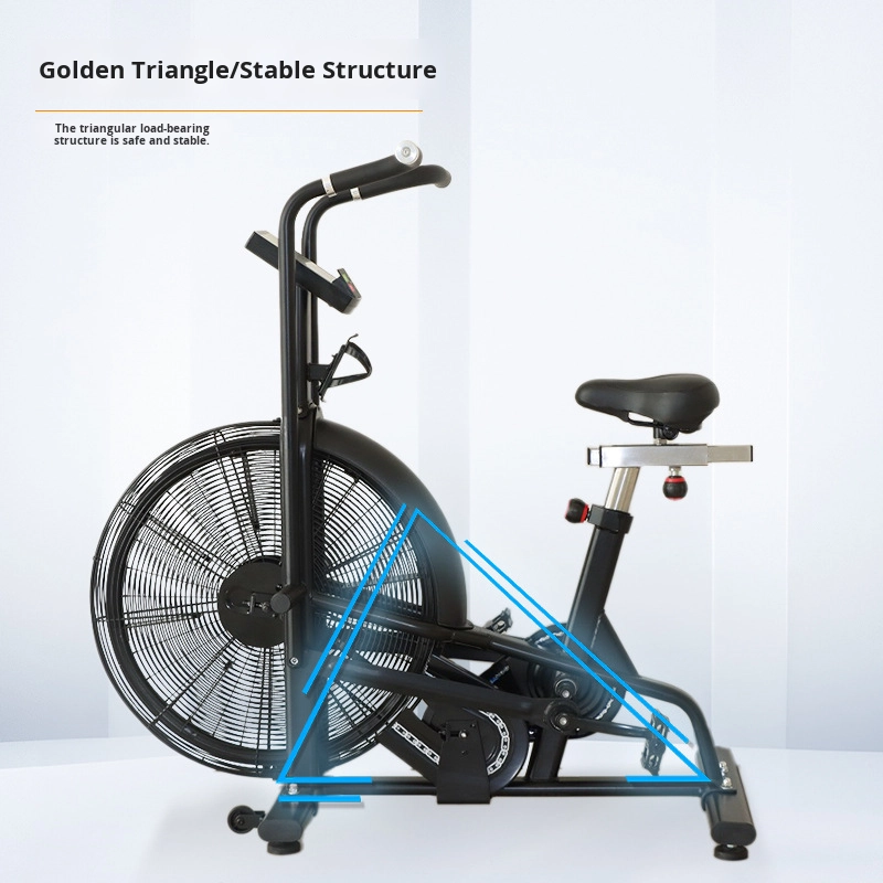 Commercial Wind Resistance Aer - огляд і ціна Home Gym Bike
